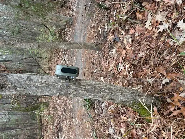 ECO Counter Laurel Hill