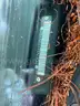 2005 Saturn Vue