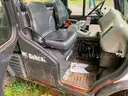 Bobcat