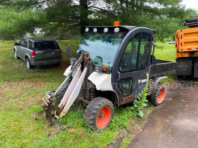 Bobcat