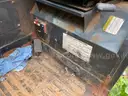 Bobcat