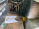 Bobcat