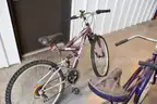 Lot of 8 Bicycles