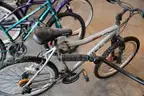 Lot of 8 Bicycles
