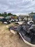 Approx. (15) Golf Carts &#x26; Shells