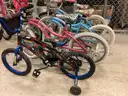 17 Children and Adult Bicycles