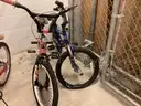 17 Children and Adult Bicycles