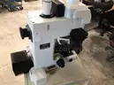 Nikon Eclipse E800 Microscope
