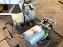 Lot of Two Pumps