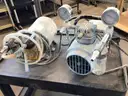 Lot of Two Pumps