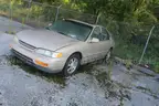 1995 Honda Accord