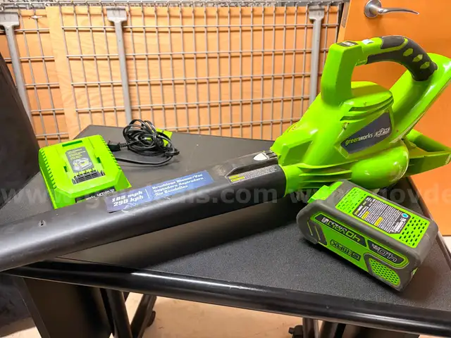 GreenWorks Leaf Blower & a Portable Spray Gun