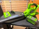 GreenWorks Leaf Blower & a Portable Spray Gun