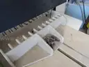 Paper Cutter