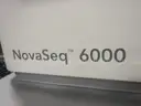 Illumina NovaSeq 6000  sequencing system