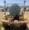 Water Buffalo
