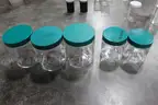 Lot of Assorted Lab and Medical Supplies