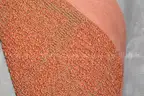 Lot of (5) Rolled Floor Rugs