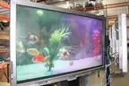 (1) SMART Board Interactive Display with Rolling Stand &#x2013; Model SBID8070i