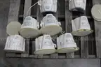 Lot of 12 Bose Model 16 FreeSpace Loudspeakers