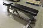 Hammer Strength Adjustable Workout Bench