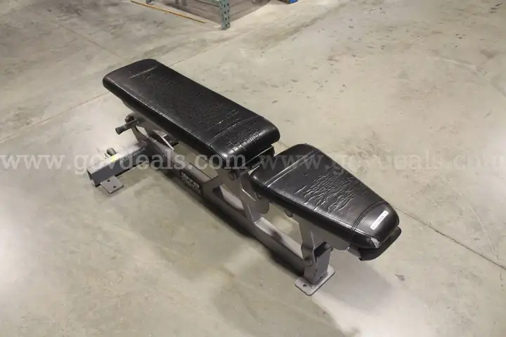 Hammer Strength Adjustable Workout Bench