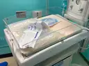 Panda Ires Bedded Warmer