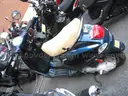 Gas Powered Mopeds - Lot of 8