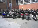 Gas Powered Mopeds - Lot of 8