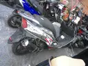 Gas Powered Mopeds - Lot of 8
