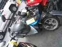 Gas Powered Mopeds - Lot of 8