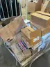 Grade School Curriculum/Activity Books  1 SKID