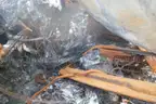 2018 Toyota Sienna-Burnt Scrap Vehicle-No Title