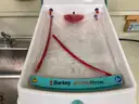 Lot of 3 items:  Lab-Line Incubator, Helmer Platelet Incubator, Barkey Plasmatherm warmer/cooler