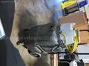 POWER ON NILFISK ADVANCE 320 1-UNIT