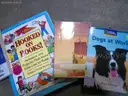 Children&#x27;s Books - 1 BIN