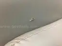 Padded reclining chairs on wheels - lot of 3 - reclining switch needs repair on all 3