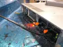 POWER ON DELL SERVER  8-UNIT
