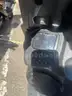 Gas Powered Mopeds - Lot of 4-NO TITLES, NO KEYS