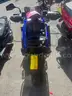 Gas Powered Mopeds - Lot of 4-NO TITLES, NO KEYS