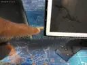 Monitor with Stands - 45 units