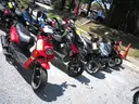 Gas Powered Mopeds - Lot of 6