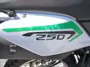 2022 KPX- 250 DIRT BIKE  LGC-Fi  FUELINJECTION