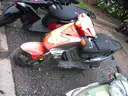 Gas Powered Mopeds - Lot of 6