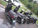 Gas Powered Mopeds - Lot of 6