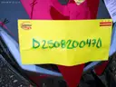 Gas Powered Mopeds - Lot of 6