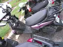 Gas Powered Mopeds - Lot of 6