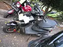 Gas Powered Mopeds - Lot of 6