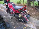 Gas Powered Mopeds - Lot of 6