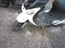 Gas Powered Mopeds - Lot of 6
